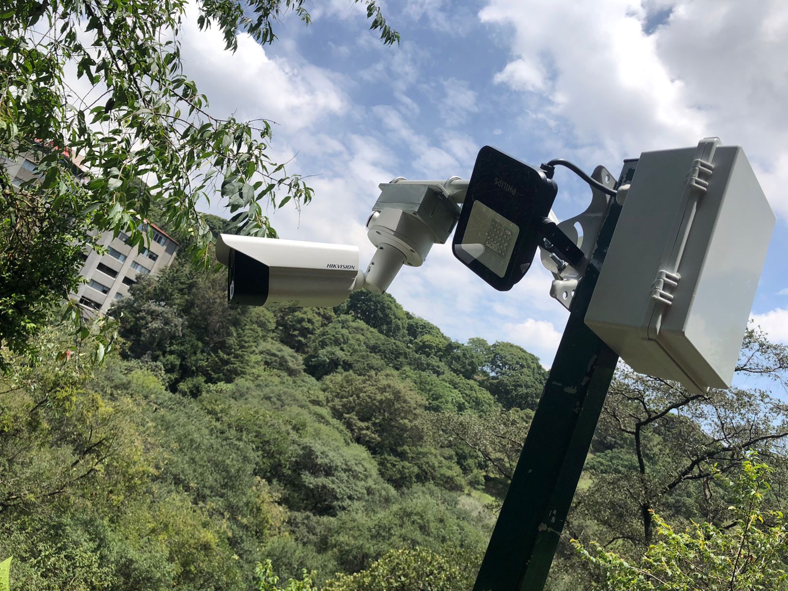 441889de-e1e9-4410-812d-91f1f17bad05