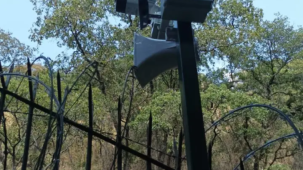 Cámara de videovigilancia para protección perimetral instalada en entorno boscoso
